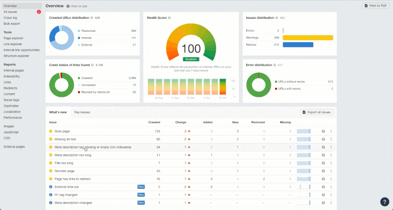 website audit report