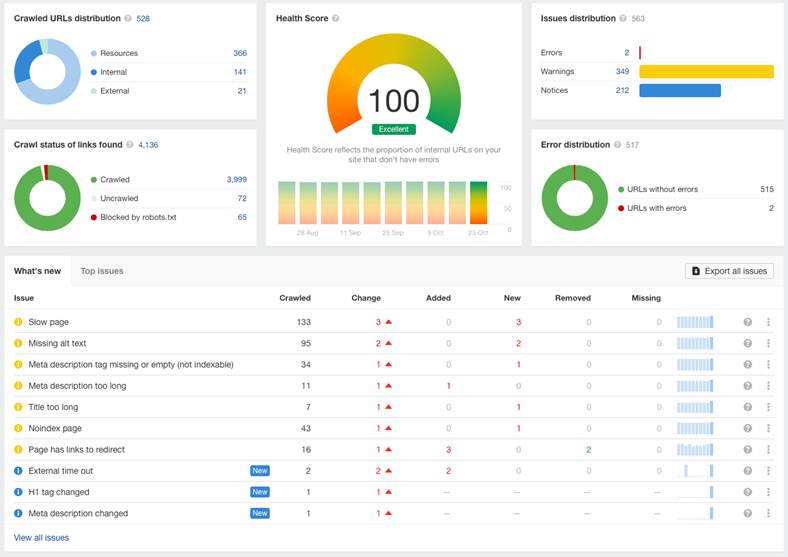 website audit report